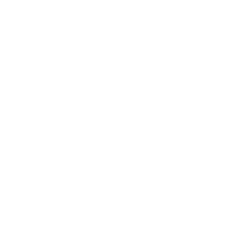 Yareta